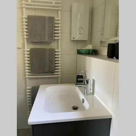 Mit Blick Auf Schloss Sayn Bendorf