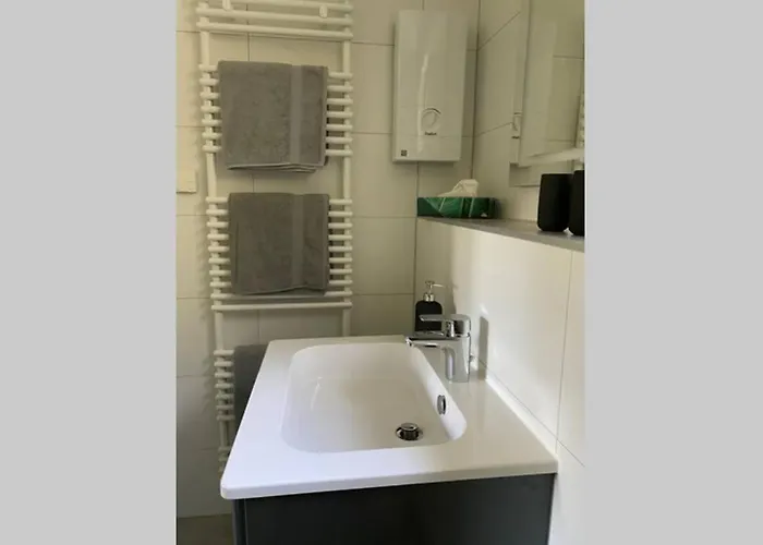 Mit Blick Auf Schloss Sayn 本多夫